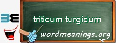 WordMeaning blackboard for triticum turgidum
